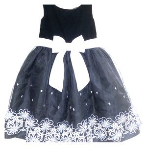 Adorable Sweet Heart Rose dress, size 5